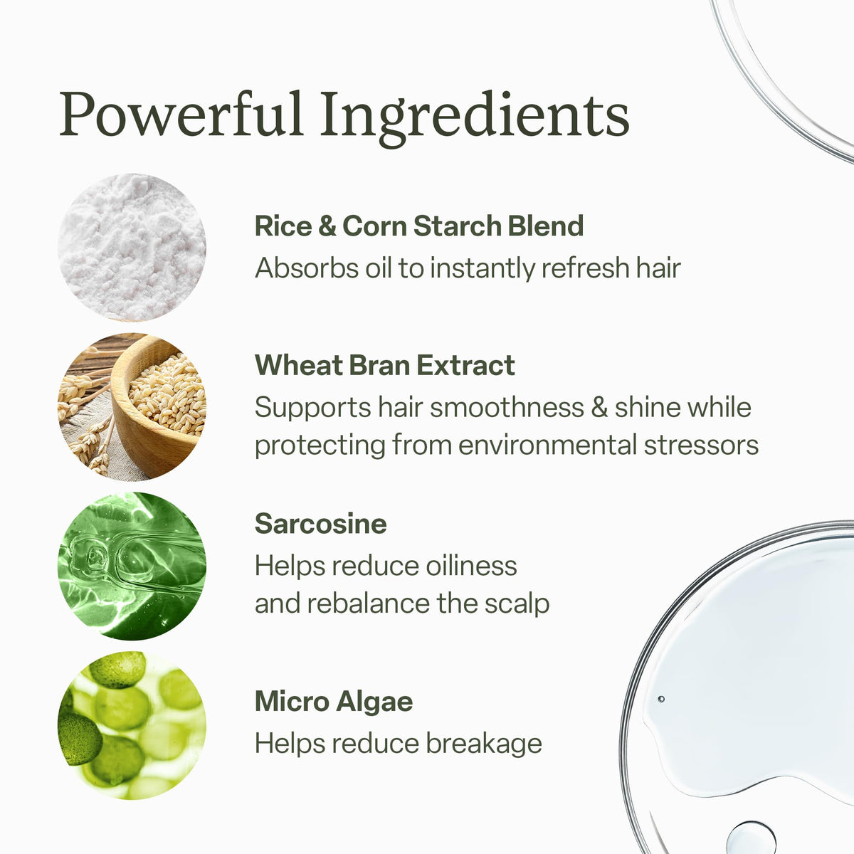 Divi Shampoo Sec 5,3 oz avec ingrédients naturels