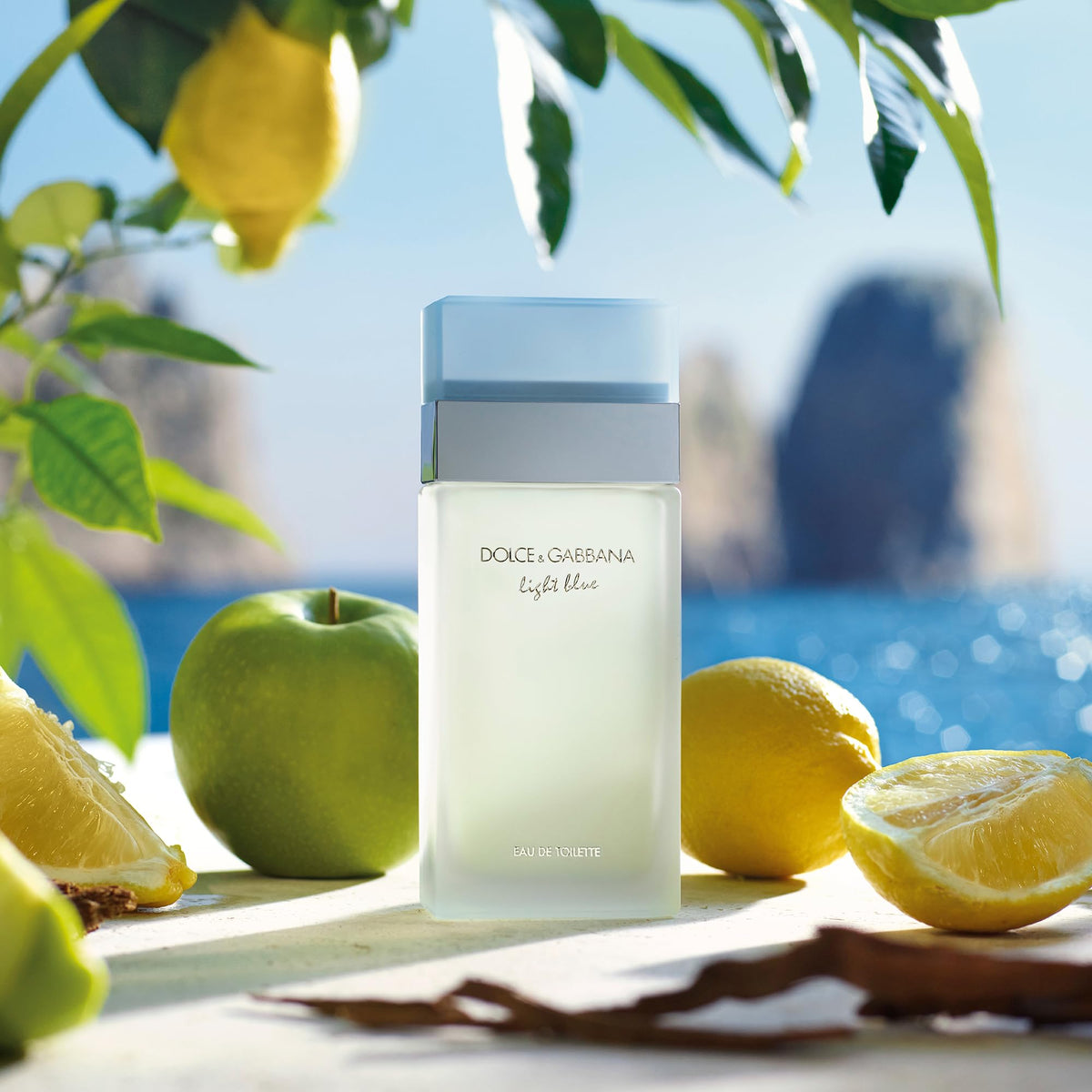 Dolce&Gabbana Light Blue Eau de Toilette 50 ml flacon arrière