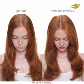 Dove Shampoo Sec Volume & Éclat pour cheveux plats