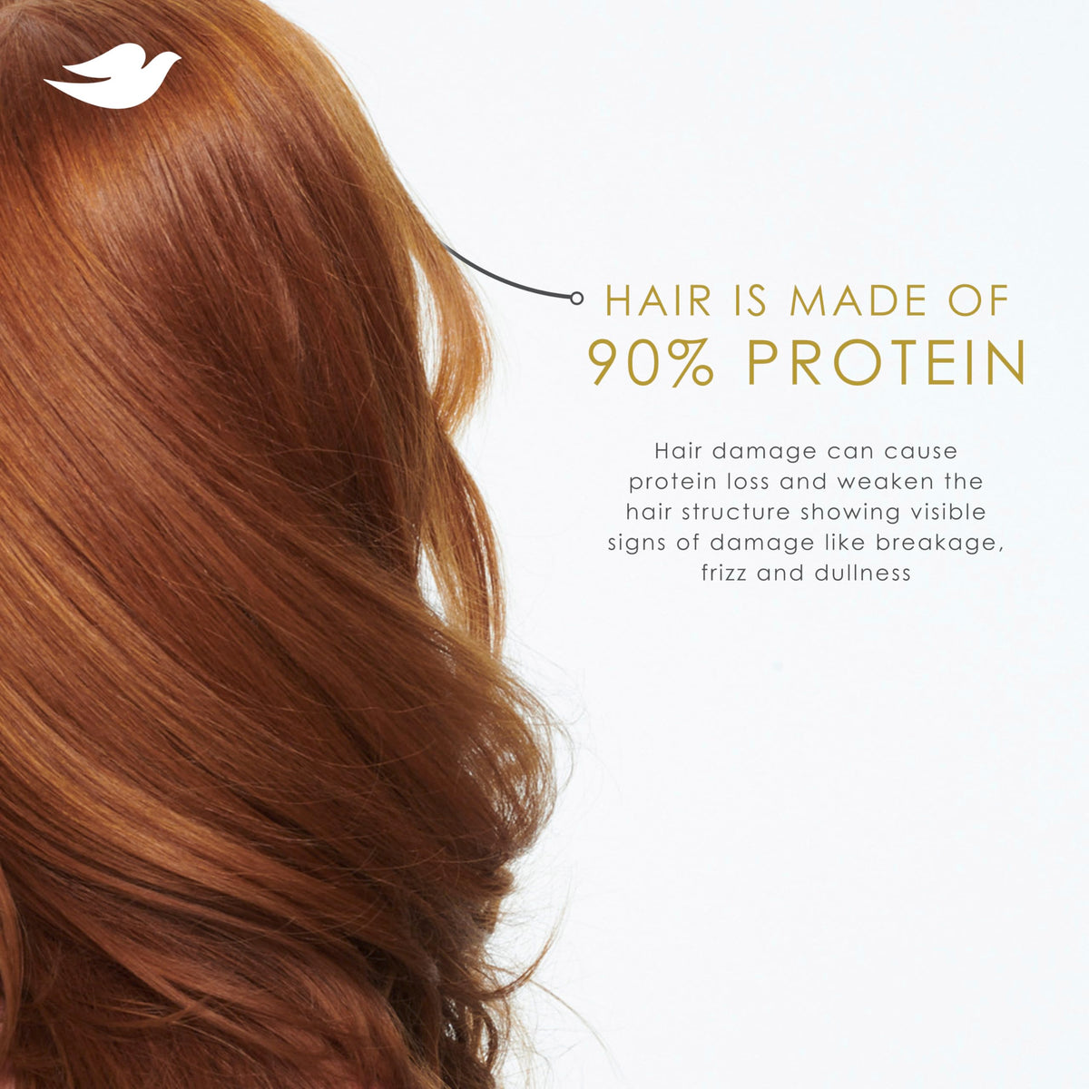 Dove Shampooing et après-shampoing en duo