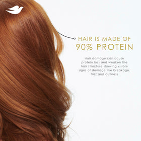 Dove Shampooing et après-shampoing en duo