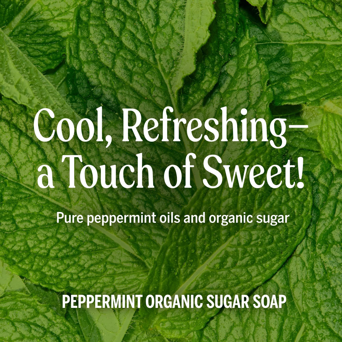 Dr. Bronner's Savon Sucre Bio à la Menthe près d'un évier