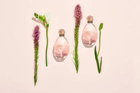 Eau de Parfum Femme Sarah Jessica Parker avec des notes de parfum