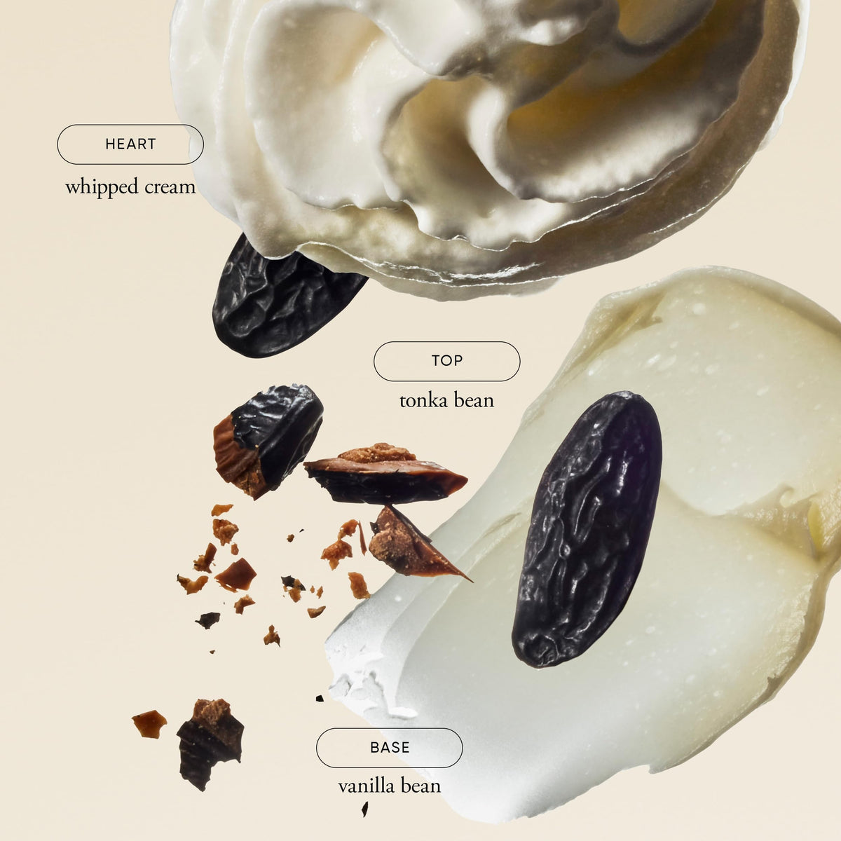 Eau de Toilette Fresh Cream philosophie sur une surface en bois