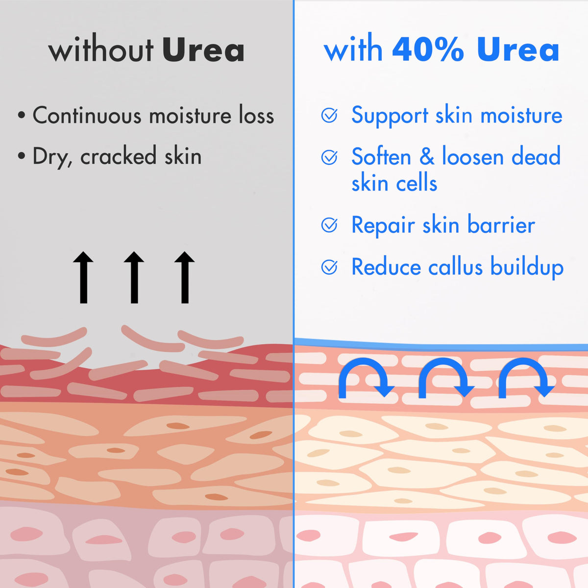 Ebanel Crème Urea 40% ingrédients naturels