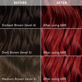 Échantillon de couleur crémeuse du Kit de Coloration Madison Reed