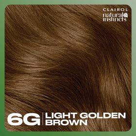 Échantillon de couleur de la teinture Clairol 6G Brun Clair Doré