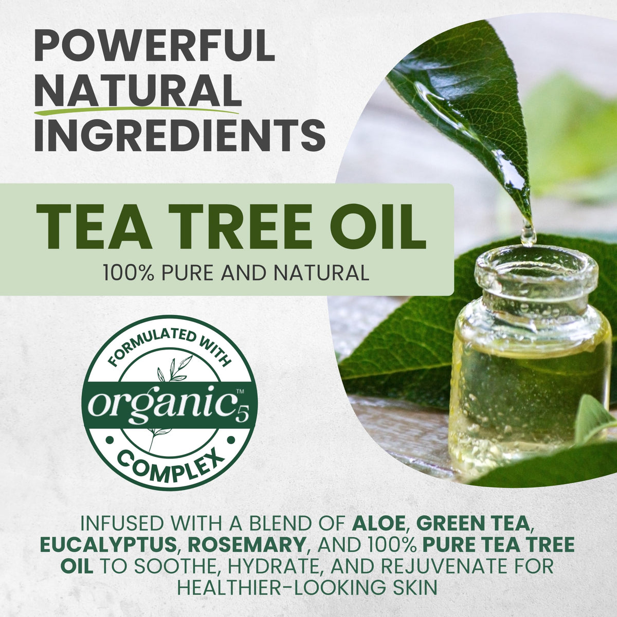 Éléments naturels incluant Aloe et Eucalyptus
