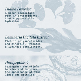 ELEMIS Crème de Nuit Pro-Collagène 50ml avec accessoires