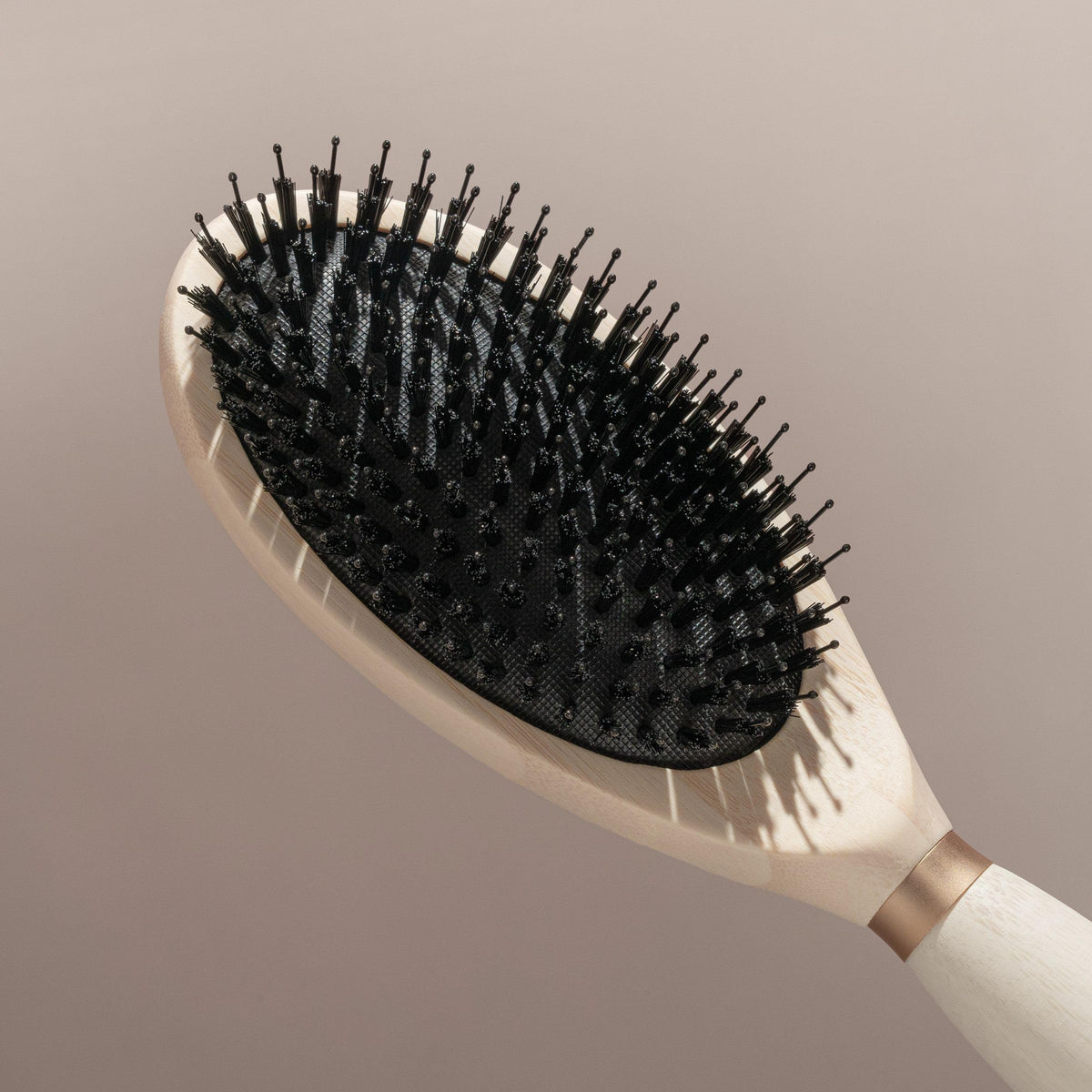 Emballage compostable de la brosse EcoTools