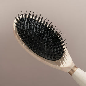 Emballage compostable de la brosse EcoTools