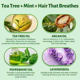 Emballage de L LUSETA Shampooing Tea Tree Mint
