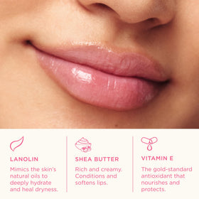 Emballage de Lanolips Baume à Lèvres Tanné Rhubarbe