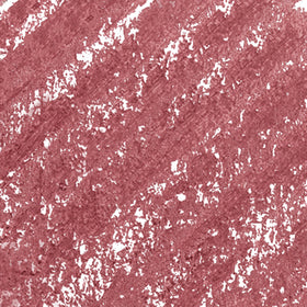 Emballage du crayon à lèvres L'Oreal Paris Colour Riche
