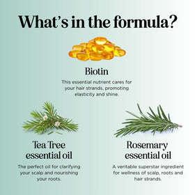 Emballage du shampooing Biotin et Romarin