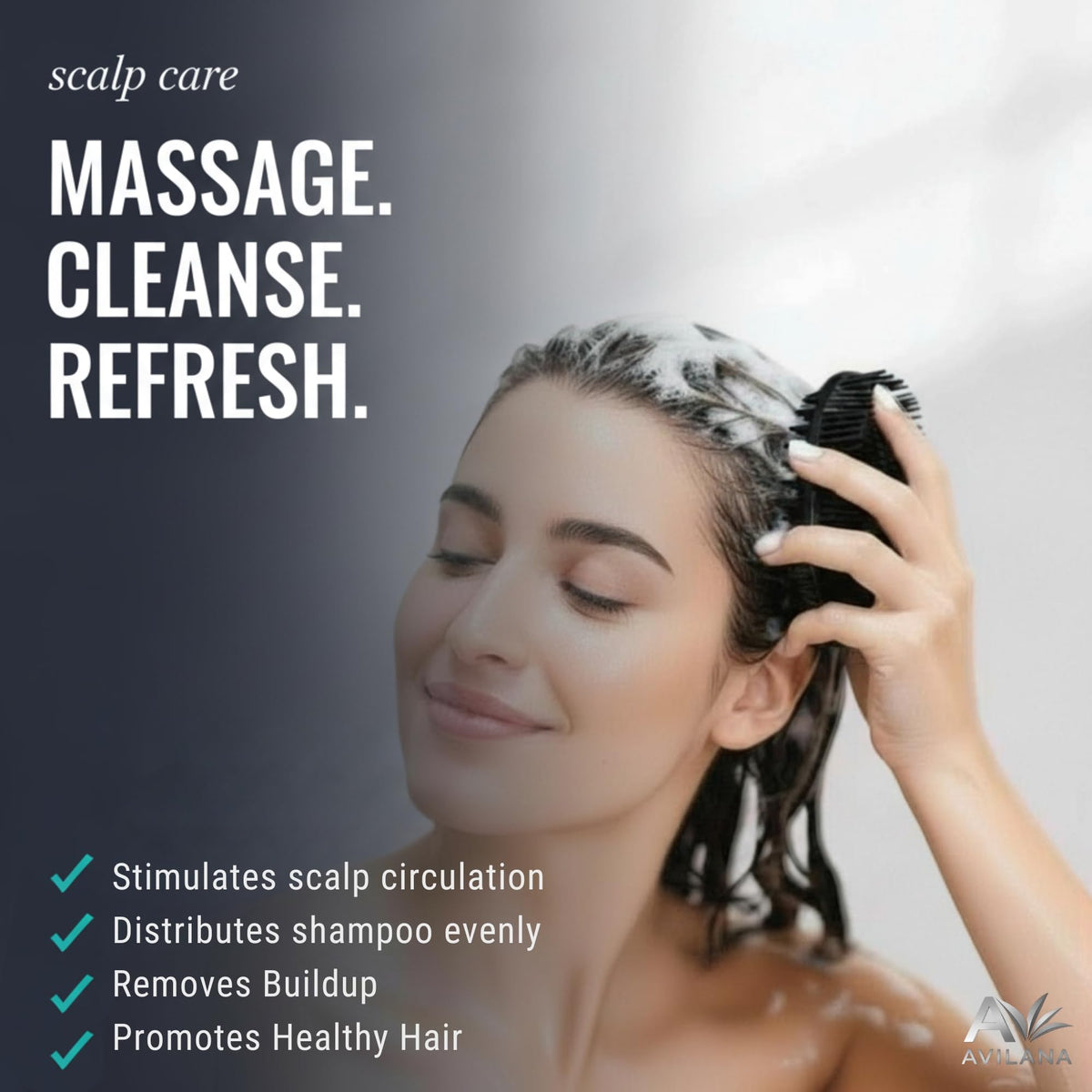 Emballage premium de la brosse Avilana
