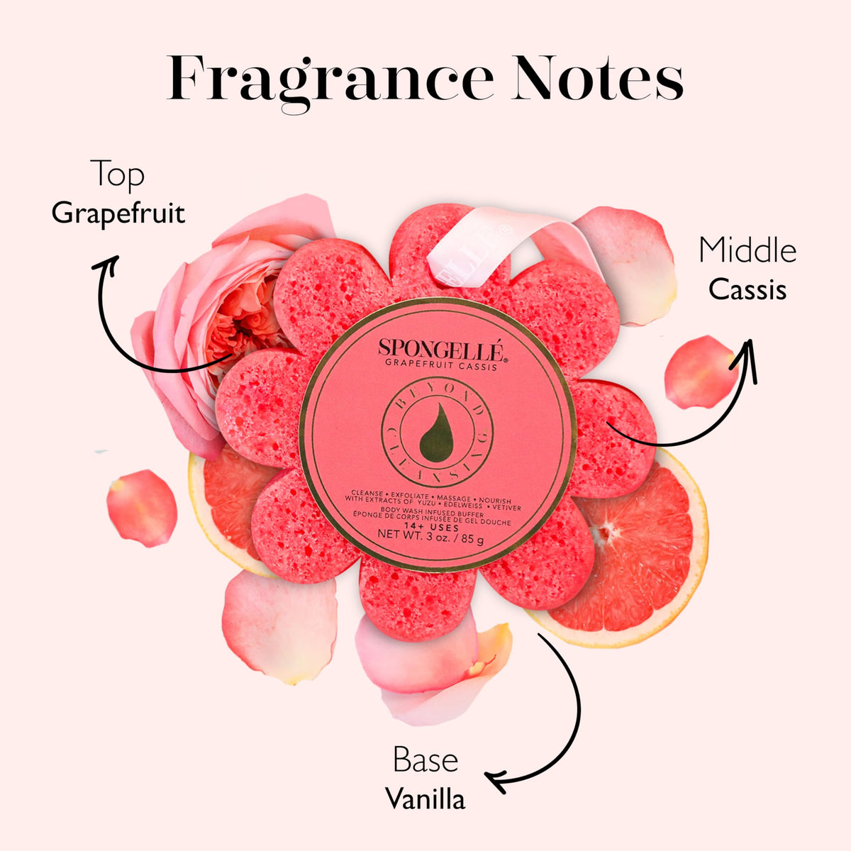 Éponge de Bain SPONGELLÉ Grapefruit Cassis en utilisation sous l'eau