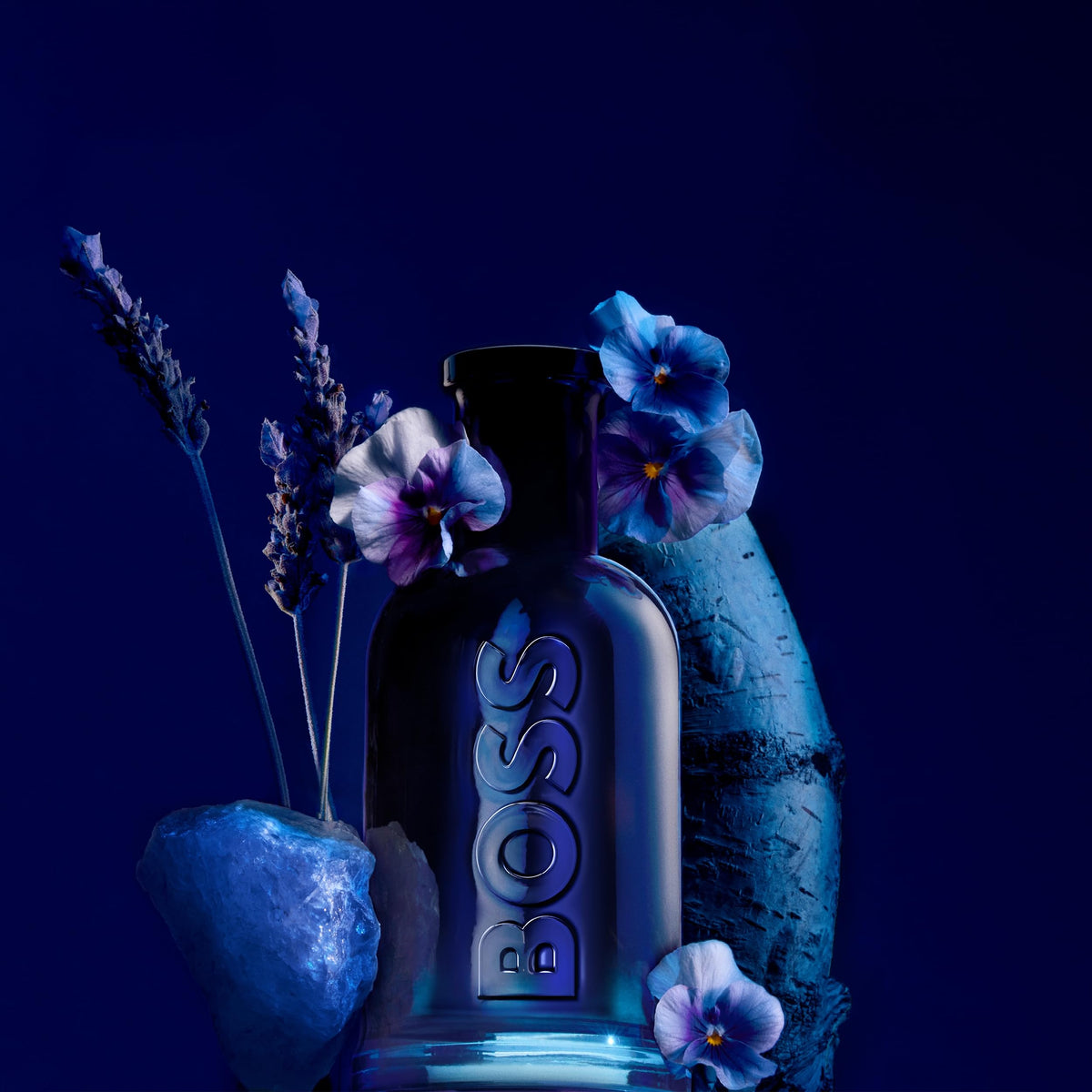 Étiquette de Hugo Boss Bottled Night présentant les notes