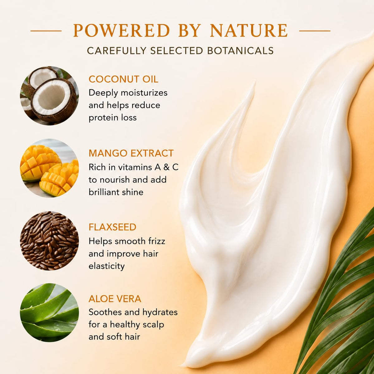 Étiquette de l'après-shampoing Coco Mango Ginger Lily Farms