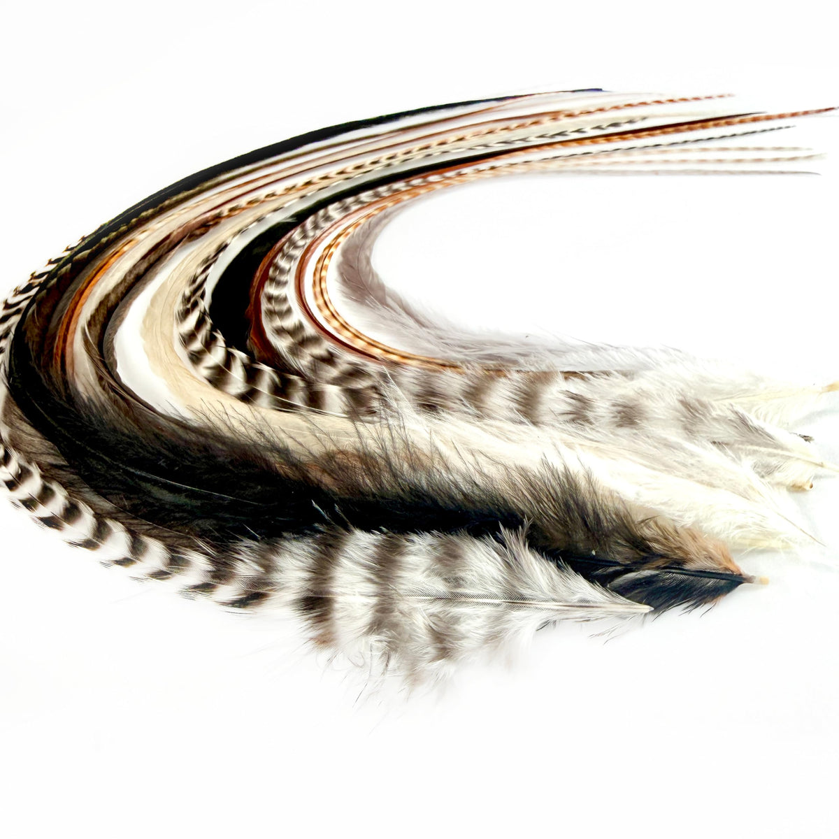 Extensions de cheveux en plumes naturelles Feather Headz, 15 pièces, vue de face