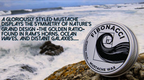 Fibonacci Mustache Wax moustache stylée