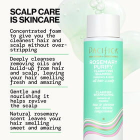 Flacon d'après-shampooing Pacifica Rosemary Purify de 237 ml