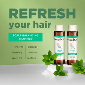 Flacon d'après-shampooing Tea Tree 16oz de Soapbox