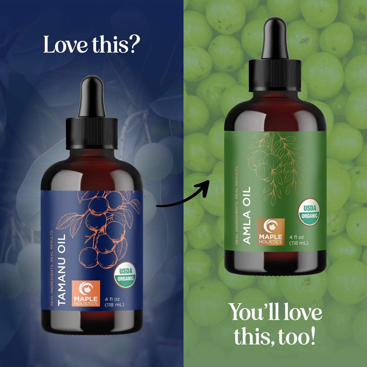 Flacon d'huile de tamanu bio Maple Holistics avec des graines de tamanu