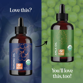Flacon d'huile de tamanu bio Maple Holistics avec des graines de tamanu