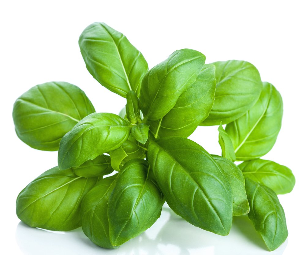 Flacon d'huile essentielle de basilic US Organic avec des herbes fraîches