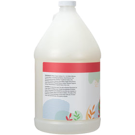 Flacon de 1 gallon de savon liquide pour les mains Ginger Lily Farms
