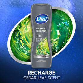 Flacon de gel douche Dial 3 en 1 sur un plan de lavabo