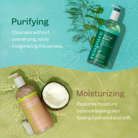 Flacon de gel douche RENPURE Tea Tree & Menthe 24oz