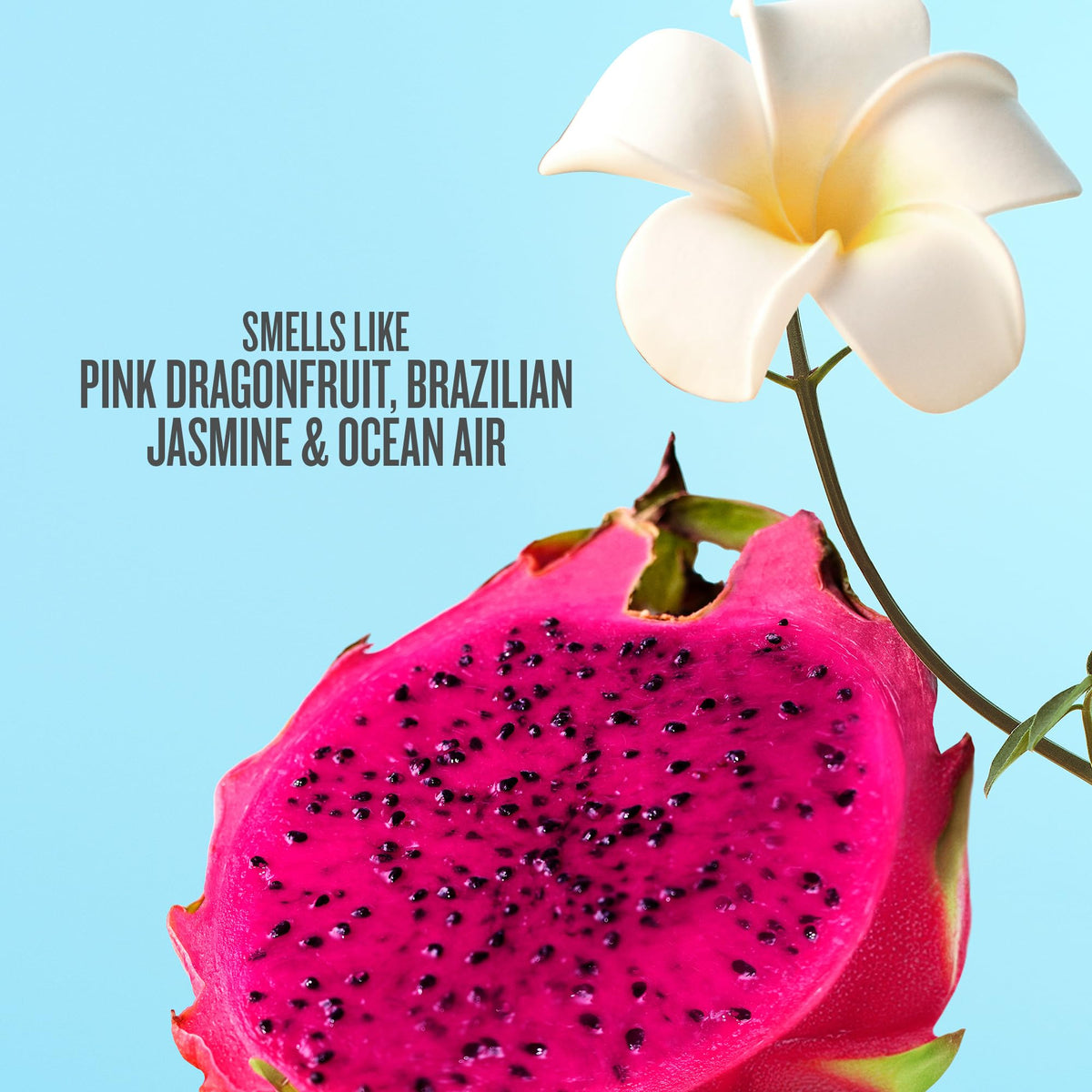 Flacon de parfum Cheirosa 68 90 ml avec étiquette