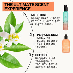Flacon de parfum Pacifica Beach Day 168g avec des éléments naturels