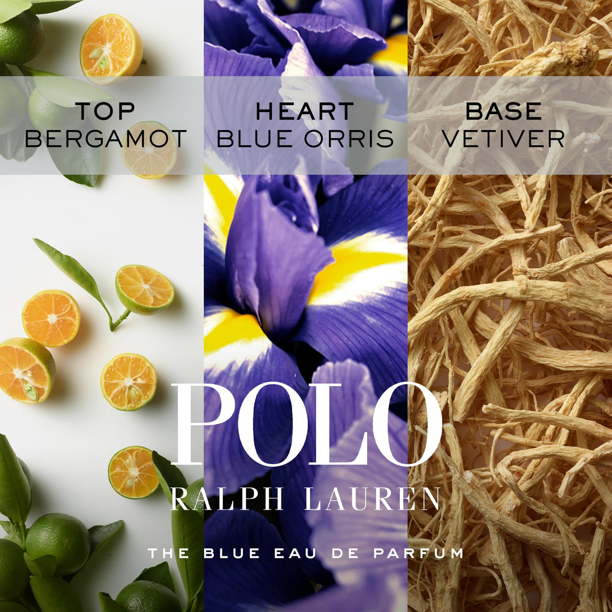 Flacon de Polo Blue Eau de Parfum 125ml sur fond blanc