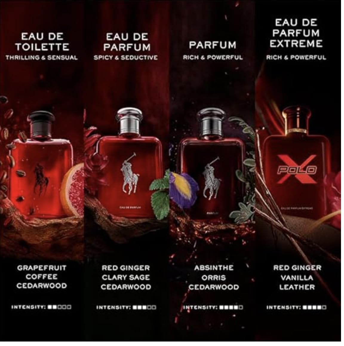 Flacon de Polo Red avec des notes de parfum détaillées