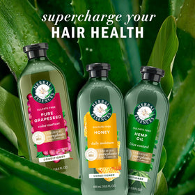 Flacon de shampooing Herbal Essences au miel recyclable