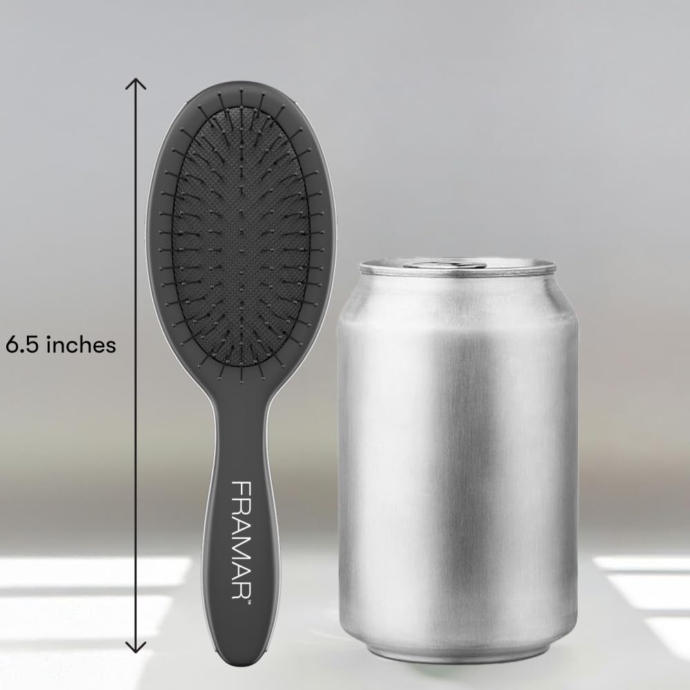 FRAMAR Mini Brosse à Cheveux Démêlante en situation de voyage