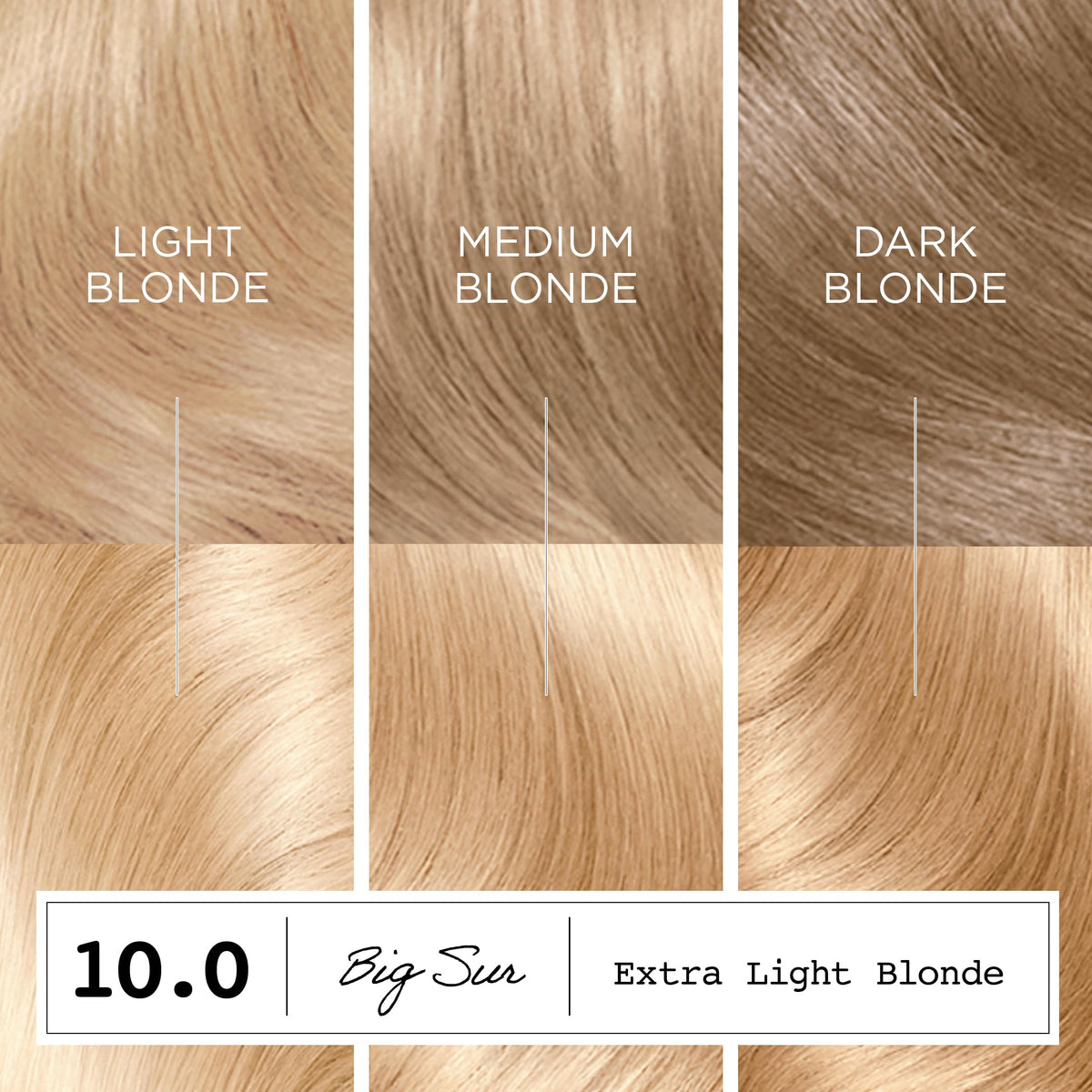 Gants inclus dans le kit de teinture Clairol ColorStrong