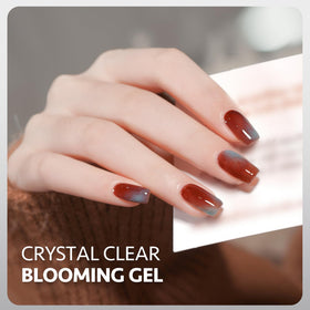 GAOY Gel à Ongles 16ml effets de dégradé