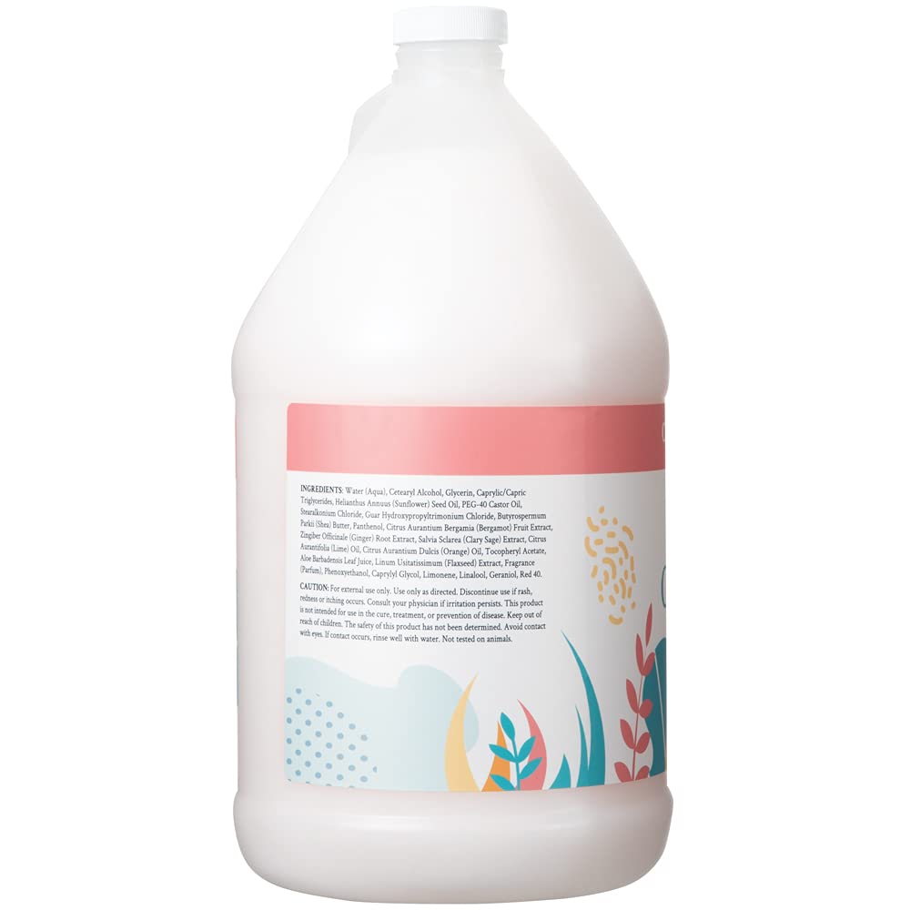 Ginger Lily Farms Après-Shampooing Hydratant 1 Gal côté