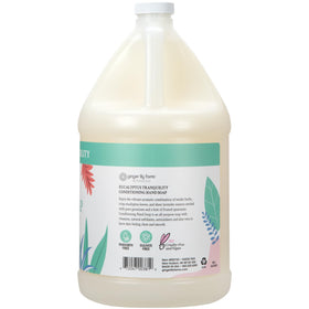 Ginger Lily Farms Savon Liquide Eucalyptus Tranquility avec mousse sur les mains