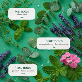 Ginger Lily Farms Shampoo Hydratant Eucalyptus Tranquility 3,78 L en milieu de salle de sport