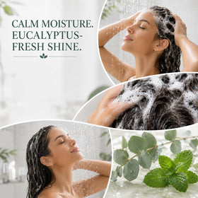Ginger Lily Farms Shampoo Hydratant Eucalyptus Tranquility 3,78 L étiquette avec ingrédients