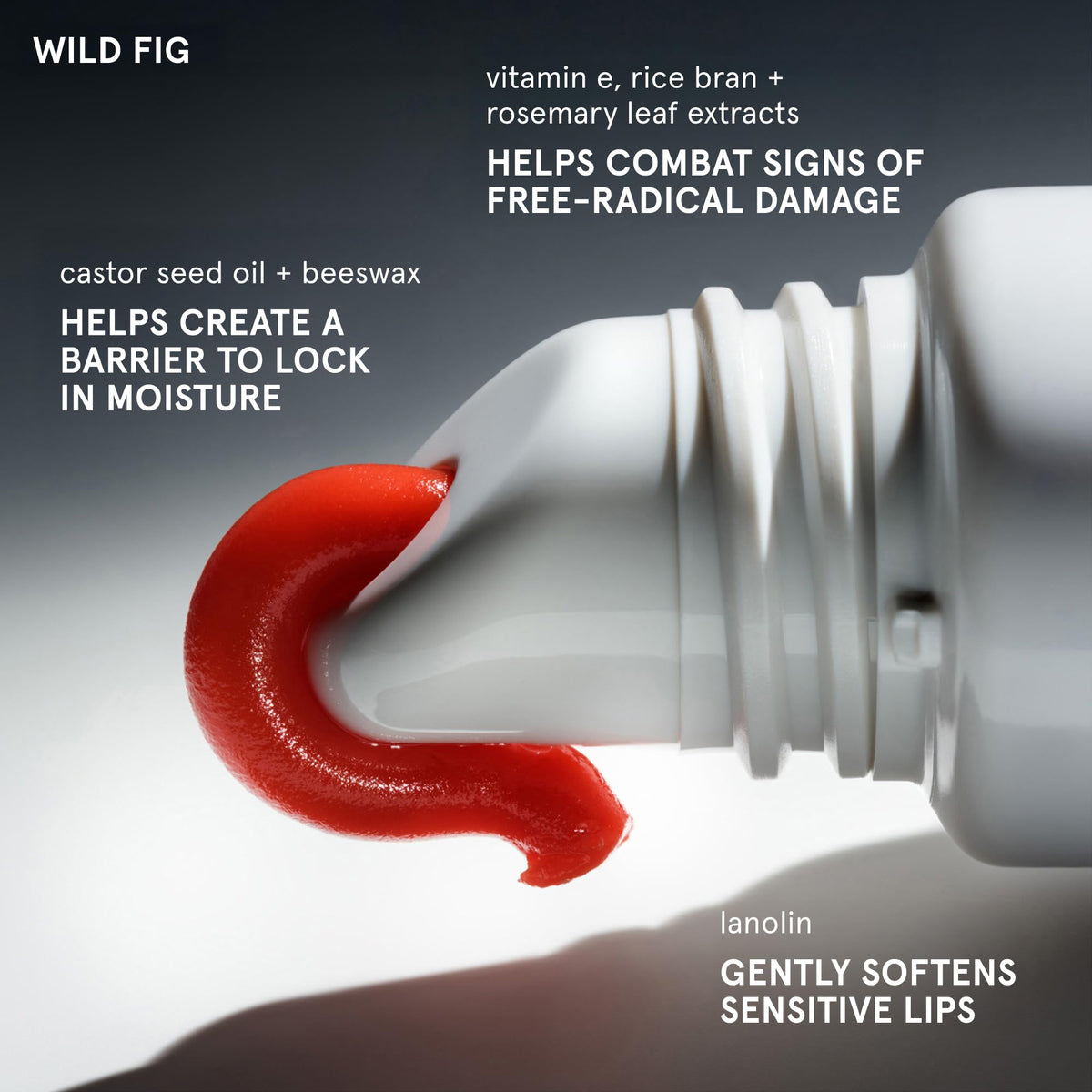 Glossier Balm Dotcom Teinte Corail Figue en gros plan sur texture