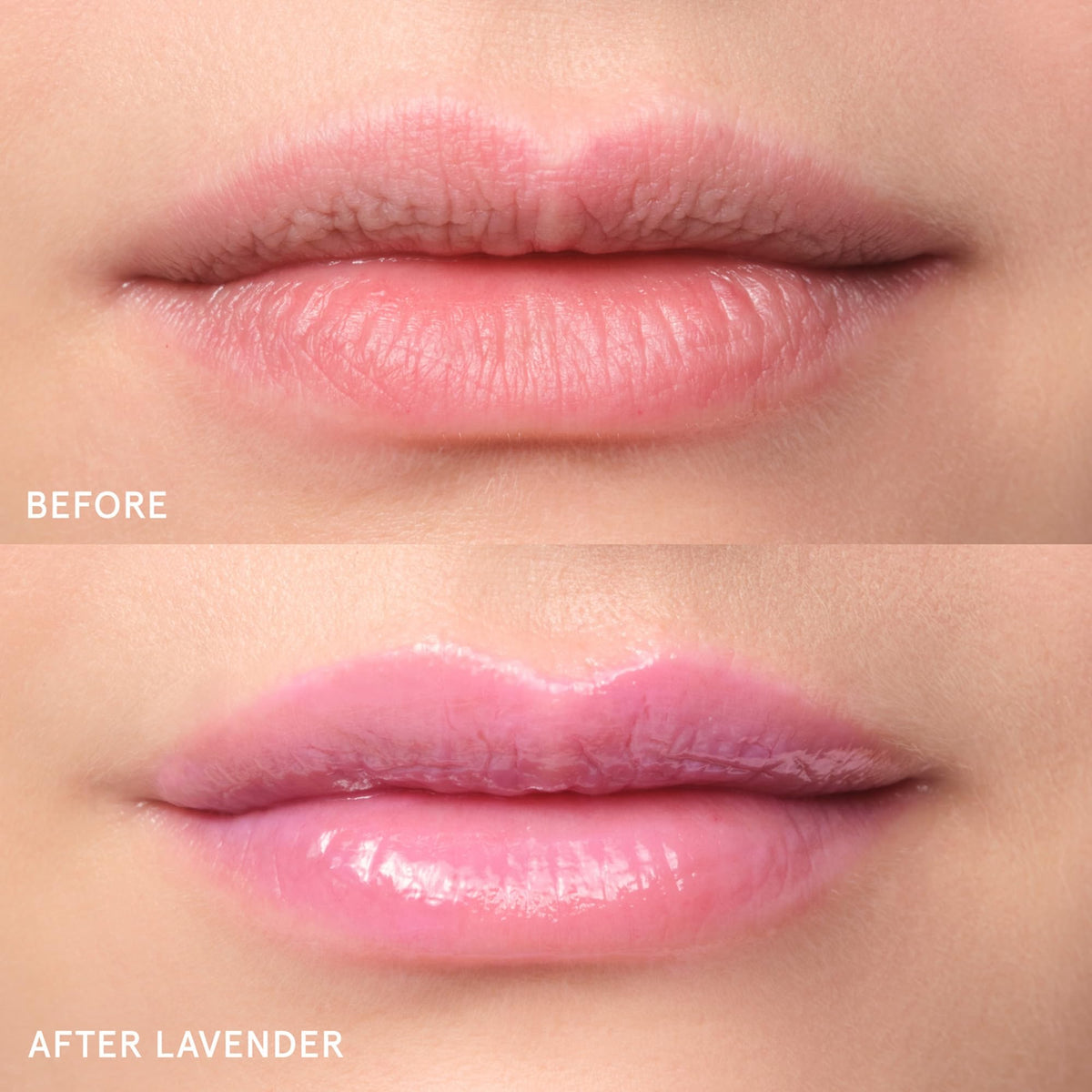 Glossier Balm Dotcom tube avec étiquette visible