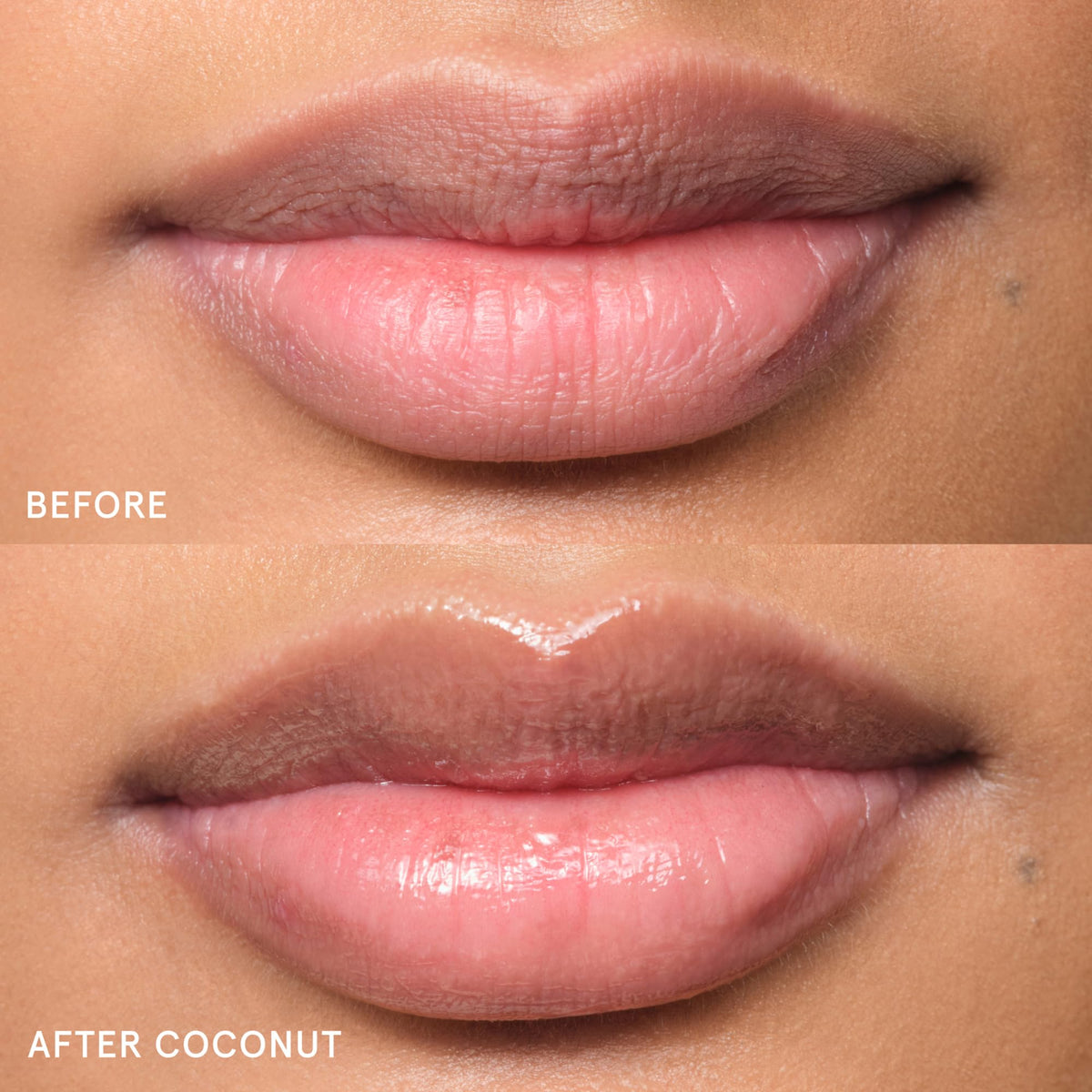 Glossier Baume Balm Dotcom présenté avec des ingrédients naturels
