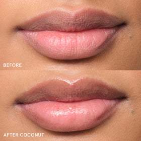 Glossier Baume Balm Dotcom présenté avec des ingrédients naturels