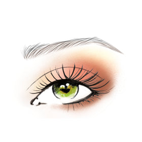 Guide d'application inclus avec la palette de fards L'Oreal Paris